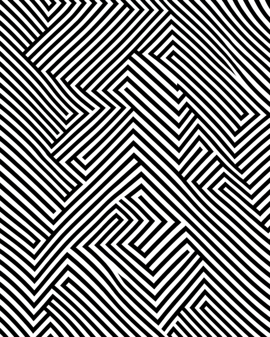 Sharp Black White Geometric Maze Rug