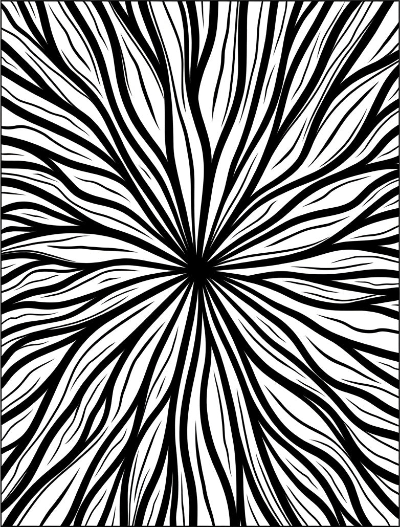 Radial Swirl Black White Pattern Rug