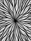 Radial Swirl Black White Pattern Rug