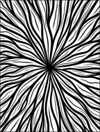 Radial Swirl Black White Pattern Rug