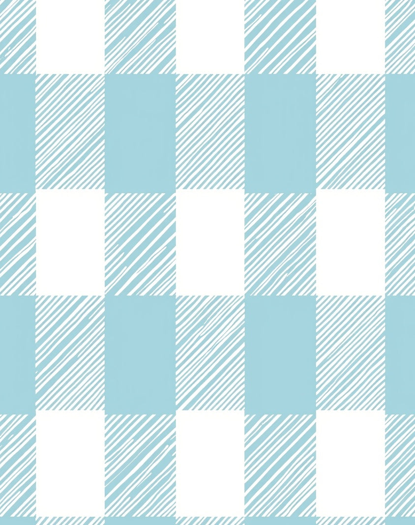 Blue White Checked Hand-Drawn Square Pattern Rug