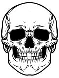 Bold Black White Skull Art Rug