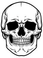 Bold Black White Skull Art Rug