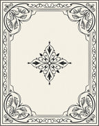 Elegant Floral Scrollwork Framed Design Rug