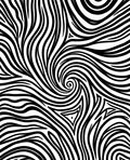 Bold Black White Abstract Swirls Rug