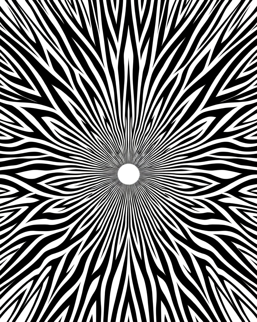Radiating Lines Black White Pattern Rug