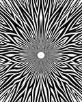 Radiating Lines Black White Pattern Rug