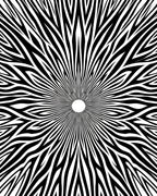 Radiating Lines Black White Pattern Rug