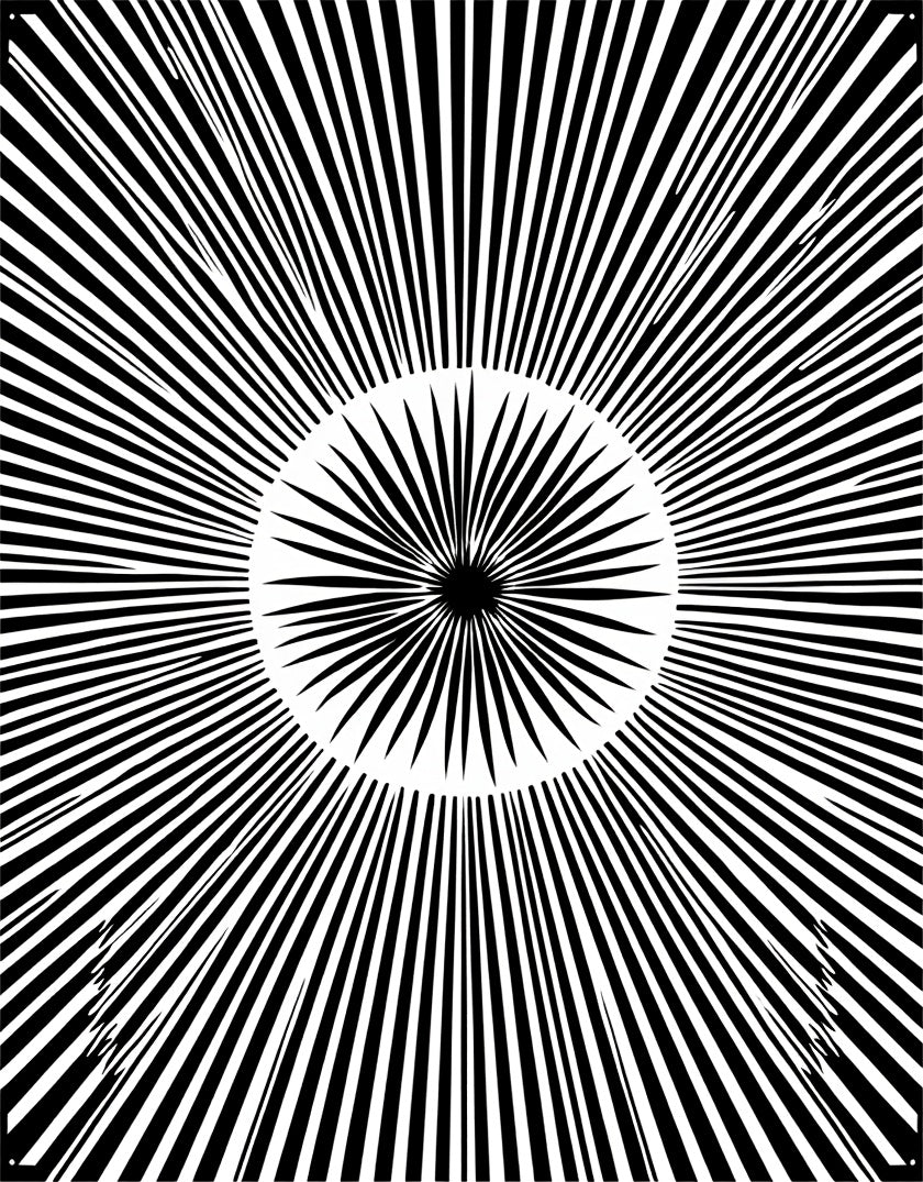 Black White Radial Sunburst Pattern Rug