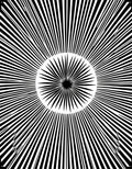 Black White Radial Sunburst Pattern Rug