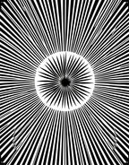 Black White Radial Sunburst Pattern Rug