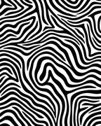 Bold Black White Zebra Print Rug