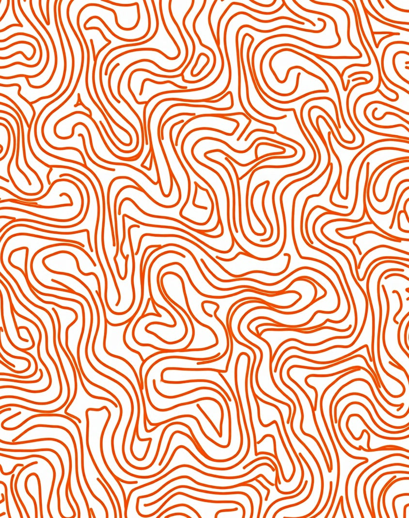 Abstract Organic Orange Line Rug