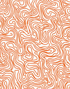 Abstract Organic Orange Line Rug