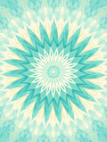 Aqua Petal Mandala Pattern Rug