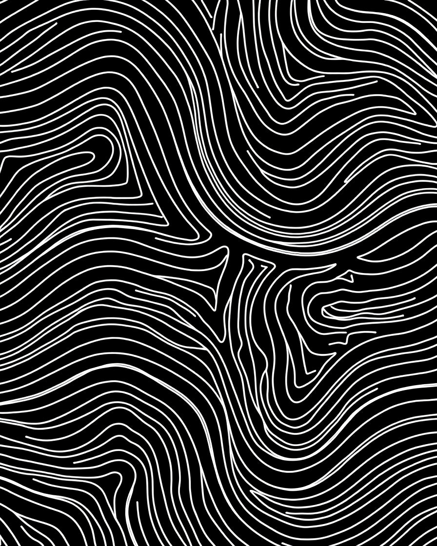 Abstract Black White Wavy Lines Rug