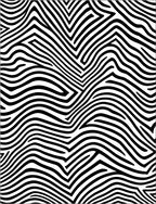 Abstract Zebra Stripe Print Rug