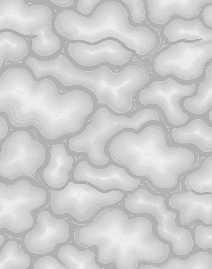 Abstract Contour Organic Swirl Rug