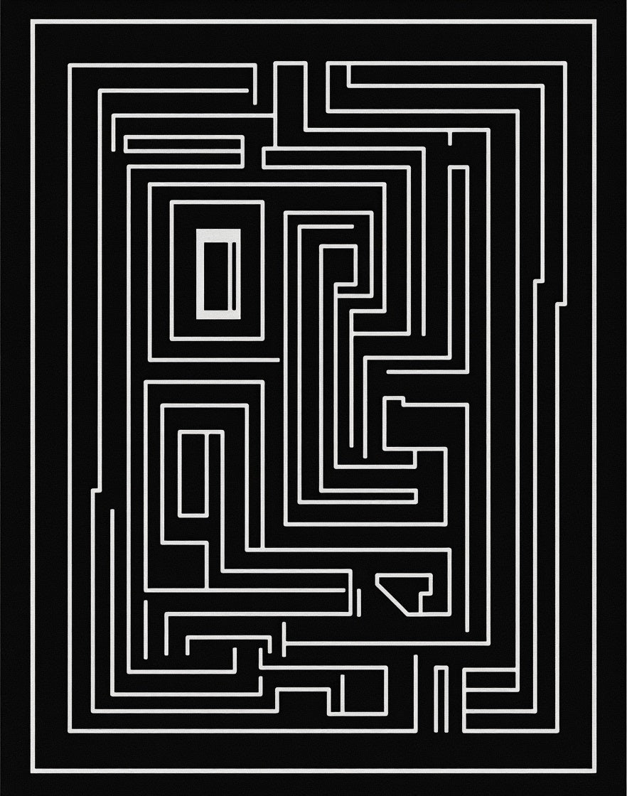 Black White Maze Pattern Rug