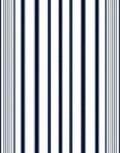 Bold Vertical Stripe Pattern Rug