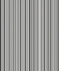 Bold Vertical Stripe Pattern Rug