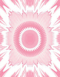 Concentric Pink Petal Kaleidoscope Design Rug