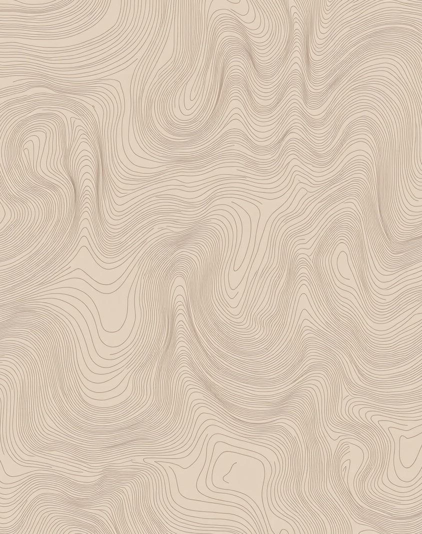 Modern Contour Line Abstract Surface Rug