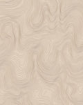 Modern Contour Line Abstract Surface Rug