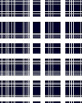 Navy White Gingham Grid Pattern Rug