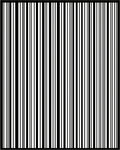 Black White Vertical Stripe Pattern Rug