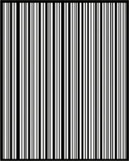 Black White Vertical Stripe Pattern Rug