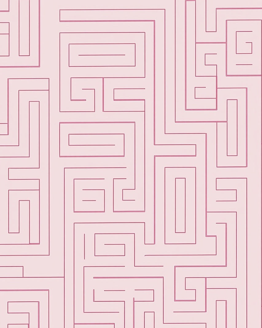 Pink Maze Patterned Contemporary Rug