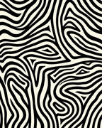 Bold Black White Zebra Stripe Design Rug