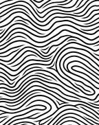 Bold Black White Wavy Lines Rug