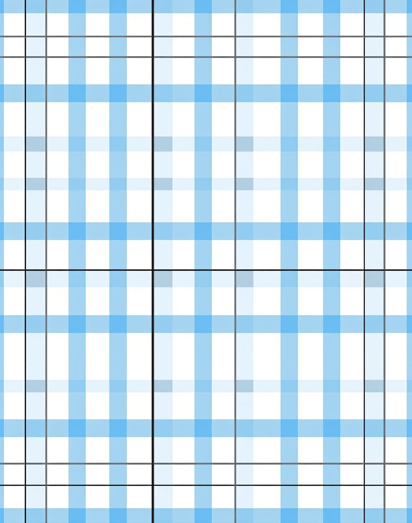 Classic Blue White Plaid Pattern Rug