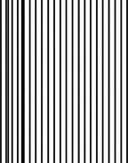 Bold Vertical Line Pattern Rug