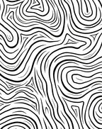 Abstract Zebra Stripe Pattern Rug