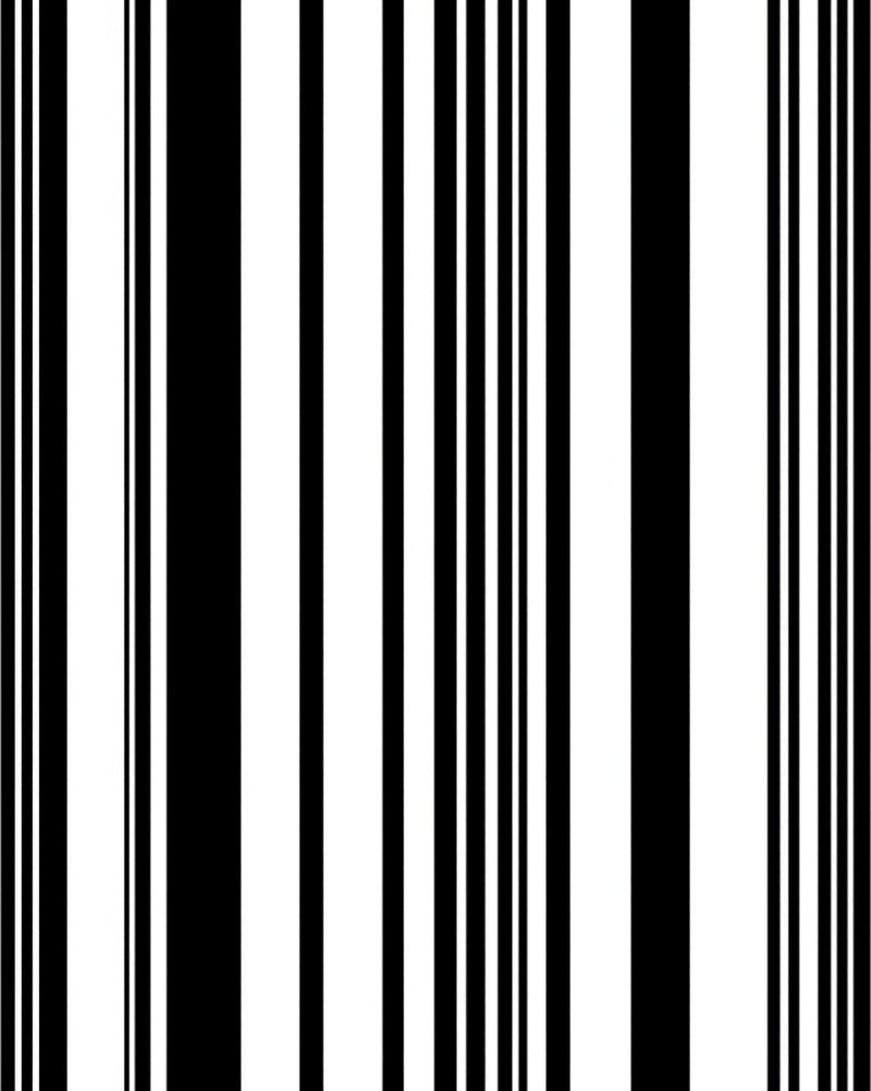 Bold Black White Striped Pattern Rug