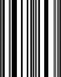 Bold Black White Striped Pattern Rug