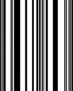 Bold Black White Striped Pattern Rug