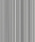 Bold Black White Stripe Pattern Rug