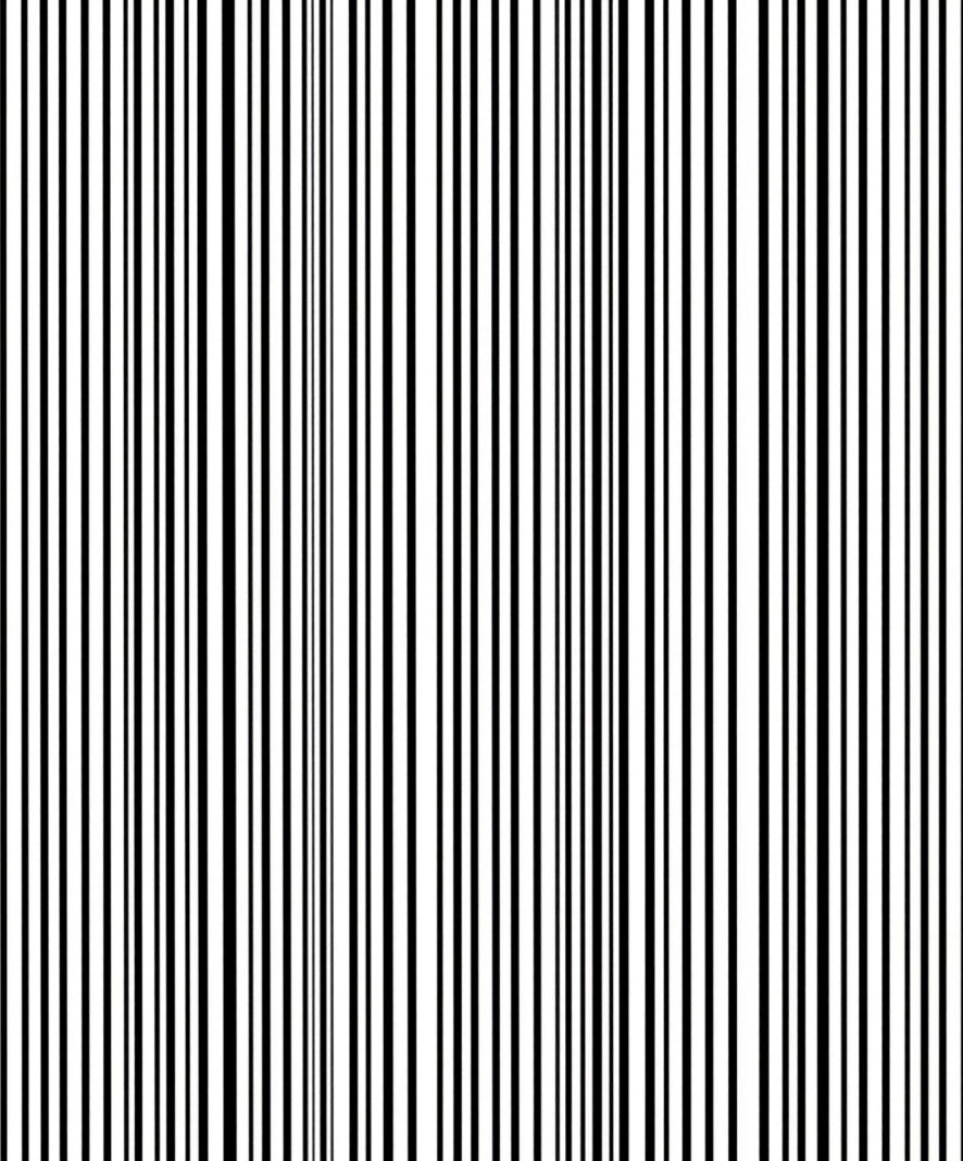 Bold Black White Stripe Pattern Rug