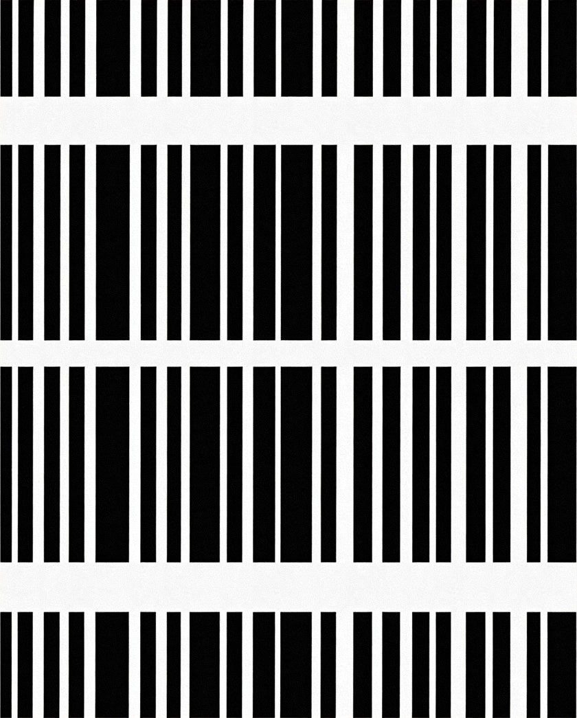 Bold Black White Stripe Pattern Rug