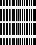 Bold Black White Stripe Pattern Rug