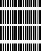 Bold Black White Stripe Pattern Rug
