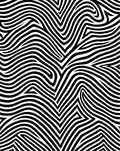 Artistic Black White Optical Illusion Rug