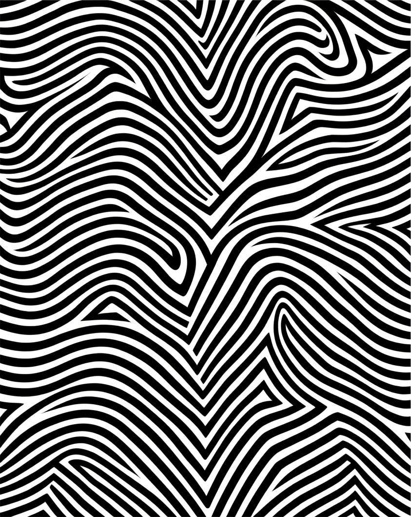 Artistic Black White Optical Illusion Rug