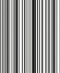 Bold Black And White Stripe Pattern Rug