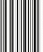 Bold Black And White Stripe Pattern Rug