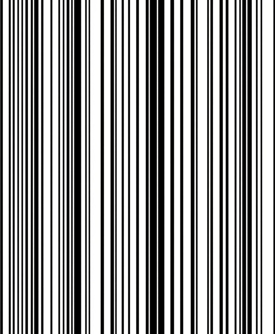 Bold Black And White Stripe Pattern Rug